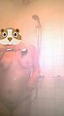 voor m"n meester, foto 539x960, 5 reacties, 24 stemmen