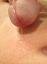 voorvocht, foto 768x1024, 3 reacties, 5 stemmen