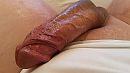 wakker!! hihi, foto 3264x1836, 2 reacties, 6 stemmen