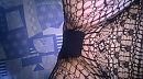 warm, foto 960x539, 4 reacties, 12 stemmen