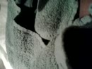 wat. ., film 00:00:12, 8 reacties, 32 stemmen