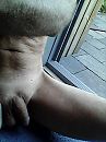 wat nog meer, foto 480x640, 0 reacties, 1 stemmen