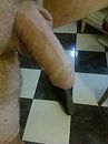 wie  maakt hem hard??, foto 397x532, 3 reacties, 13 stemmen