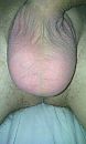 wie wil deze ballen likken, foto 1728x2880, 0 reacties, 3 stemmen