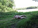 wie wilt, foto 4000x3000, 3 reacties, 8 stemmen