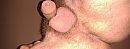 wie zin in bttm, foto 617x235, 0 reacties, 1 stemmen
