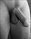 wie?, foto 1601x2011, 5 reacties, 19 stemmen
