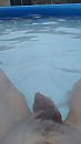 wie, foto 1840x3264, 0 reacties, 1 stemmen