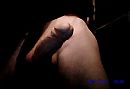 x x x, foto 497x341, 0 reacties, 1 stemmen