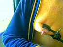 x, foto 320x240, 0 reacties, 3 stemmen