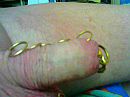 x, foto 320x240, 0 reacties, 0 stemmen