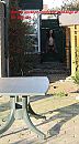 xx, foto 1200x2150, 0 reacties, 25 stemmen