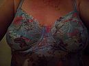 xxx, foto 1478x1108, 1 reacties, 5 stemmen