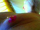 xxxxxxxxxxxxxxxxxxxxxxxxxxxxxx, foto 320x240, 0 reacties, 0 stemmen