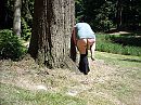 zonder ondergoed in het bos3, foto 3264x2448, 5 reacties, 48 stemmen