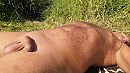 zonnig, foto 2560x1440, 2 reacties, 8 stemmen