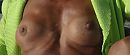 zuigtepels, foto 1076x458, 1 reacties, 3 stemmen