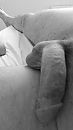 zwart wit 1, foto 2121x3771, 0 reacties, 1 stemmen