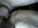 ?, film 00:00:00, 26 reacties, 150 stemmen