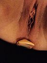 ....., foto 960x1280, 3 reacties, 24 stemmen