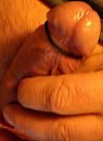 cum closer 5, foto 668x907, 0 reacties, 0 stemmen
