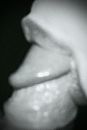 #, foto 364x542, 3 reacties, 35 stemmen