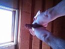 2, foto 2048x1536, 1 reacties, 4 stemmen