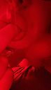 :o, foto 899x1599, 23 reacties, 91 stemmen