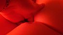 ;), foto 1280x720, 18 reacties, 102 stemmen