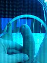 <, foto 1920x2560, 3 reacties, 14 stemmen