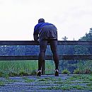 Alleen in het park., foto 1200x1200, 1 reacties, 10 stemmen