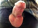 Alweer opgewonden..., foto 640x480, 7 reacties, 14 stemmen