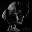 Artistiek..., foto 1050x1050, 12 reacties, 85 stemmen