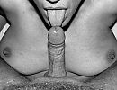 Back to basic, foto 1989x1539, 35 reacties, 158 stemmen
