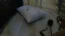 Beetje spelen, film 00:00:28, 7 reacties, 55 stemmen