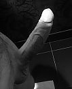 Bling!, foto 2366x2888, 4 reacties, 13 stemmen