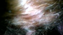 Blowjop, film 00:00:00, 14 reacties, 165 stemmen