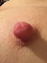 Borst, foto 2448x3264, 19 reacties, 48 stemmen