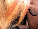 Buitendate, foto 3968x2976, 1 reacties, 11 stemmen