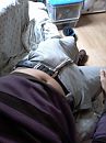 Bult, foto 1200x1600, 1 reacties, 2 stemmen