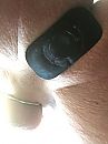 Buttplug, foto 960x1280, 6 reacties, 22 stemmen