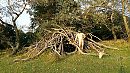 Camping de Dorre Tak, foto 3052x1717, 2 reacties, 3 stemmen