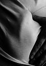 Casting shadows..., foto 783x1108, 0 reacties, 0 stemmen