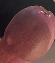 Close-up, foto 363x407, 1 reacties, 4 stemmen