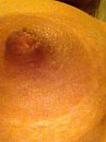Close up...., foto 480x640, 0 reacties, 11 stemmen