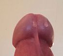 Close up, foto 736x661, 2 reacties, 3 stemmen