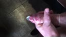 Condoom vol spuiten!, film 00:00:15, 6 reacties, 24 stemmen