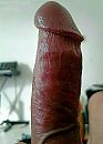 DE PAAL, foto 738x1023, 1 reacties, 1 stemmen