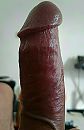 DE P!K 2, foto 666x1023, 0 reacties, 0 stemmen