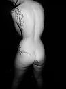 Danku C!, foto 3000x4000, 3 reacties, 69 stemmen